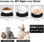 2Pcs Cat Bowls Elevated Cat Food Bowl Adjustable Cat Dish Anti-Slip and Anti-... Carousel 5