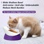 2Pcs Cat Bowls Elevated Cat Food Bowl Adjustable Cat Dish Anti-Slip and Anti-... Carousel 16