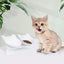 Anti Vomiting Cat Bowls - Elevated Tilted 15o Cat Food Bowl, Raised Plastic C... Carousel 8