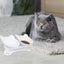 Anti Vomiting Cat Bowls - Elevated Tilted 15o Cat Food Bowl, Raised Plastic C... Carousel 9