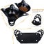 Anti Vomiting Cat Bowls - Elevated Tilted 15o Cat Food Bowl, Raised Plastic C... Carousel 11