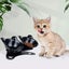 Anti Vomiting Cat Bowls - Elevated Tilted 15o Cat Food Bowl, Raised Plastic C... Carousel 14