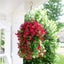 Artificial Fake Hanging Flowers Plants with Basket for Outdoor, Orange Faux S... Carousel 11