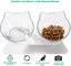 Elevated Cat Bowls with Raised Stand, Pet Food Water Feeder Bowl, 15o Tilted ... Carousel 4