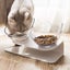 Elevated Cat Bowls with Raised Stand, Pet Food Water Feeder Bowl, 15o Tilted ... Carousel 9