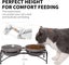 FOREYY Elevated Cat Bowls with 2 Ceramic Bowls and 2 Stainless Steel Bowls,Ra... Carousel 4