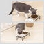 FOREYY Elevated Cat Bowls with 2 Ceramic Bowls and 2 Stainless Steel Bowls,Ra... Carousel 7
