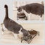 FOREYY Elevated Cat Bowls with 2 Ceramic Bowls and 2 Stainless Steel Bowls,Ra... Carousel 11