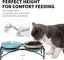 FOREYY Elevated Cat Bowls with 2 Ceramic Bowls and 2 Stainless Steel Bowls,Ra... Carousel 13