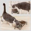 FOREYY Elevated Cat Bowls with 2 Ceramic Bowls and 2 Stainless Steel Bowls,Ra... Carousel 18