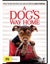 A Dog's Way Home DVD Carousel 1