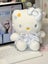 20cm Sanrio Hello Kitty Kawaii Plush Toys Dolls Soft Stuffed Carousel 1