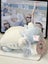 20cm Sanrio Hello Kitty Kawaii Plush Toys Dolls Soft Stuffed Carousel 4