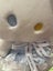 20cm Sanrio Hello Kitty Kawaii Plush Toys Dolls Soft Stuffed Carousel 15