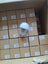 Loading Image 1 of 1