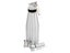 1L Professional Cream Whipper - Aluminium Bottle + 3 Stainless Steel Nozzles Carousel 3