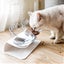 Raised Cat Bowl with Stand, 15o Tilted Cat Bowls for Kittens Elevated Cat Bow... Carousel 11