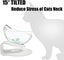 Raised Cat Bowl with Stand, 15o Tilted Cat Bowls for Kittens Elevated Cat Bow... Carousel 13