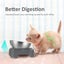 Stainless Steel Cat Food Bowl, 15-Angle, Ergonomic Design Reduces Vomiting Carousel 4