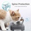 Stainless Steel Cat Food Bowl, 15-Angle, Ergonomic Design Reduces Vomiting Carousel 5