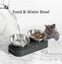 Stainless Steel Cat Food Bowl, 15-Angle, Ergonomic Design Reduces Vomiting Carousel 6