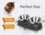 Stainless Steel Cat Food Bowl, 15-Angle, Ergonomic Design Reduces Vomiting Carousel 9