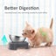 Stainless Steel Cat Food Bowl, 15-Angle, Ergonomic Design Reduces Vomiting Carousel 11