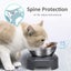 Stainless Steel Cat Food Bowl, 15-Angle, Ergonomic Design Reduces Vomiting Carousel 12