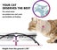Y YHY Cat Bowls Elevated, Ceramic, 12 Ounces, Reduce Neck Burden, Anti Vomiti... Carousel 4