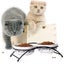 Y YHY Cat Bowls Elevated, Ceramic, 12 Ounces, Reduce Neck Burden, Anti Vomiti... Carousel 7
