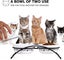 Y YHY Cat Bowls Elevated, Ceramic, 12 Ounces, Reduce Neck Burden, Anti Vomiti... Carousel 8