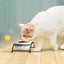 Y YHY Cat Bowls Elevated, Ceramic, 12 Ounces, Reduce Neck Burden, Anti Vomiti... Carousel 9