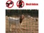 PTN NEW Large Wire Netting Sale Sale Sale Carousel 4