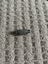 RCA Female To RCA Female Coupler Carousel 1