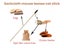 PTN NEW Cat Toy Sale - Sale Sale Carousel 11