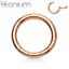 18g Rose Gold Implant Grade Titanium Hinged Segment Ring. 5 Sizes available. Carousel 1