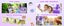 1080P Instant Print Camera for Kids,HD Digital Video Cameras with 3 Rolls Print Carousel 4