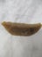 Old Neolithic Flint x 3 - Scrapers Adze Stone Tools - SSXX 5561 Carousel 6