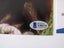 Sir David Attenborough stunning signed large Photograph + Authentication Carousel 4