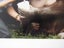Sir David Attenborough stunning signed large Photograph + Authentication Carousel 5