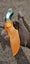 19cm Mongolian BBQ Knife Meat Cleaver Copper Handle Hunting Camping BBQ Knife Carousel 16