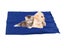 PTN NEW Large Pet Cooling Mat Sale - Sale Sale Carousel 3