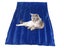 PTN NEW Large Pet Cooling Mat Sale - Sale Sale Carousel 7
