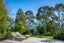 gallery view thumbnail