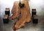 KAURI SLAB ( NZ NATIVE ) - ROUGH SAWN - 600-650 x 50mm x 3.9m - TS7370 Carousel 7