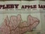 Scarce Early NZ Land Lease Map Appleby Apple Lands Stewart's Estate New Zealand Carousel 3