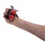 IS Gifts: Squish-A-Spider - Stress Ball (Assorted Designs) Carousel 3