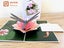 3D POP UP Card - Dragonfly on Lotus Carousel 1