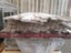 Loading Image 2 of 4