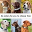 Personalized Dog Cat Tag Collar Nylon Print Engrave Customize Nameplate ID Carousel 6